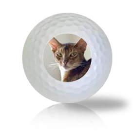 Abyssinian Cat Golf Balls