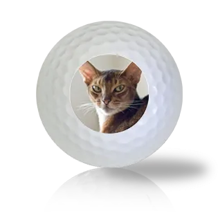 Abyssinian Cat Golf Balls