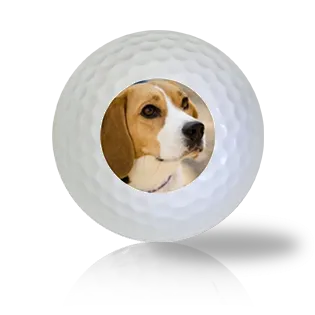 Beagle Golf Balls