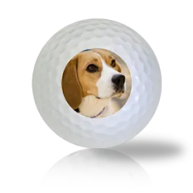 Beagle Golf Balls