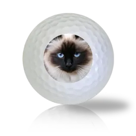 Birman Cat Golf Balls