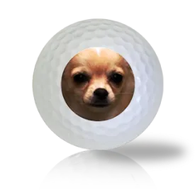 Chihuahua Golf Balls