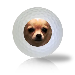 Chihuahua Golf Balls