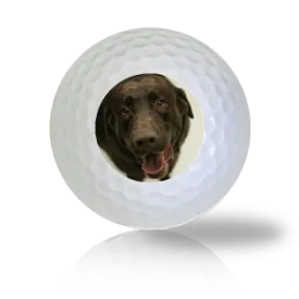 Chocolate Lab Golf Balls