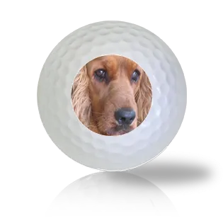 Cocker Spaniel Golf Balls