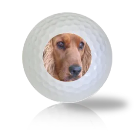 Cocker Spaniel Golf Balls