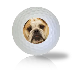 English Bulldog Golf Balls