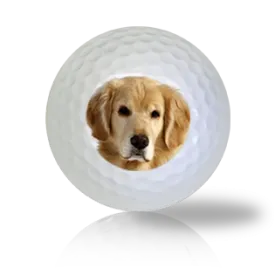 Golden Retriever Golf Balls