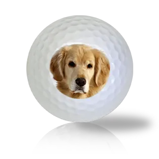 Golden Retriever Golf Balls