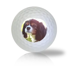 King Charles Spaniel Golf Balls