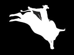 "Bull 7" High Performance Vinyl Decal